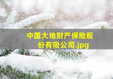 中国大地财产保险股份有限公司