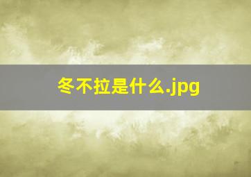 冬不拉是什么