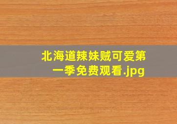 北海道辣妹贼可爱第一季免费观看