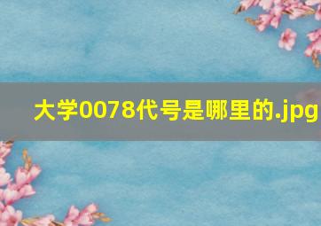 大学0078代号是哪里的