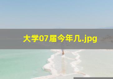 大学07届今年几