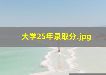 大学25年录取分