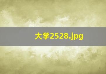 大学2528