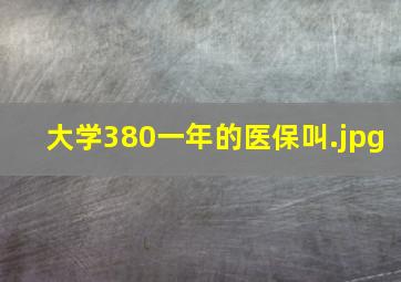 大学380一年的医保叫