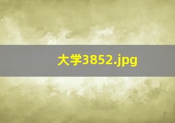 大学3852