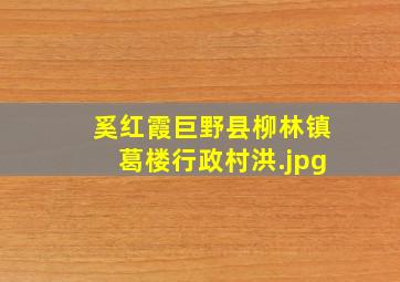 奚红霞巨野县柳林镇葛楼行政村洪