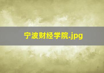 宁波财经学院
