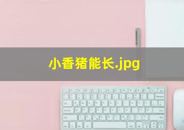 小香猪能长