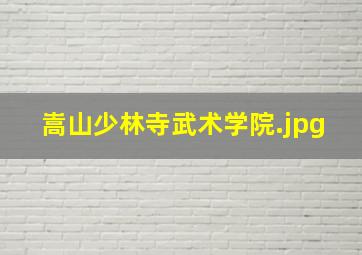 嵩山少林寺武术学院