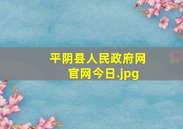 平阴县人民政府网官网今日