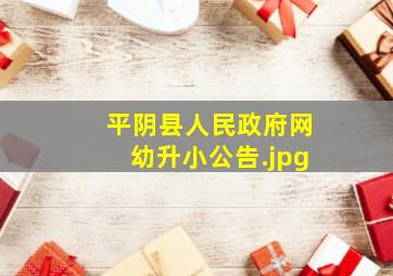 平阴县人民政府网幼升小公告