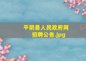 平阴县人民政府网招聘公告