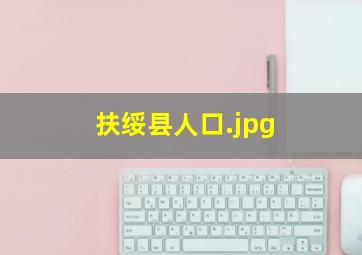 扶绥县人口