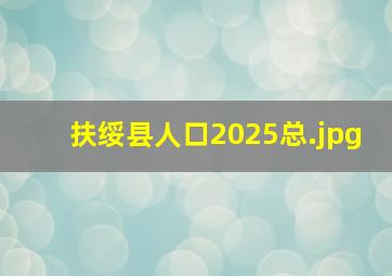扶绥县人口2025总