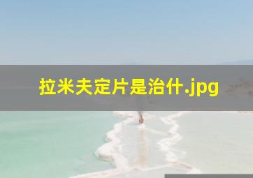 拉米夫定片是治什