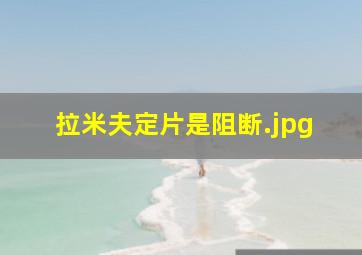 拉米夫定片是阻断