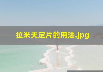 拉米夫定片的用法