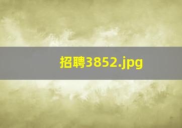 招聘3852