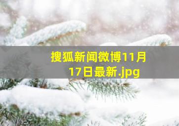 搜狐新闻微博11月17日最新
