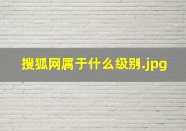 搜狐网属于什么级别