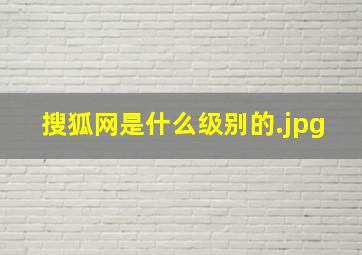 搜狐网是什么级别的