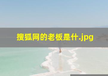 搜狐网的老板是什