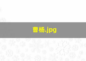 曹杨