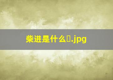 柴进是什么�