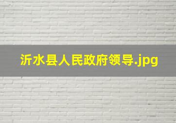 沂水县人民政府领导