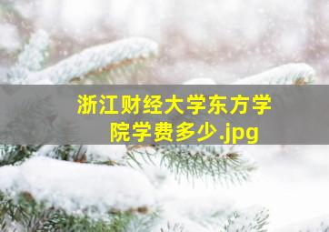 浙江财经大学东方学院学费多少