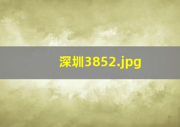 深圳3852