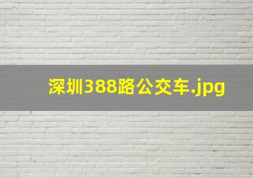 深圳388路公交车