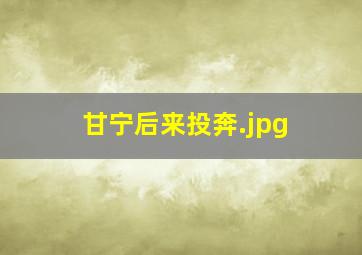 甘宁后来投奔