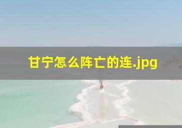 甘宁怎么阵亡的连