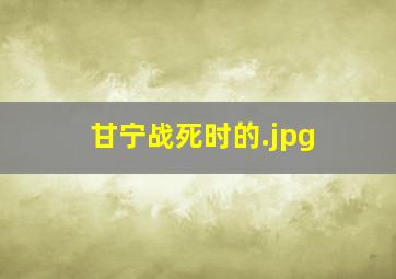 甘宁战死时的