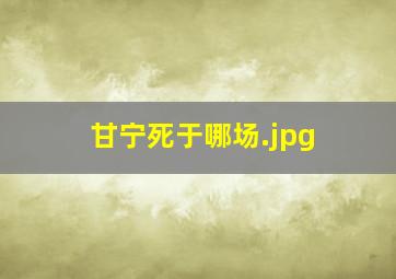 甘宁死于哪场