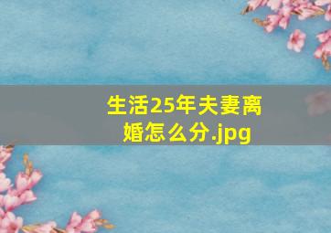 生活25年夫妻离婚怎么分