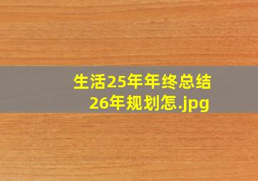 生活25年年终总结26年规划怎