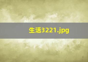 生活3221