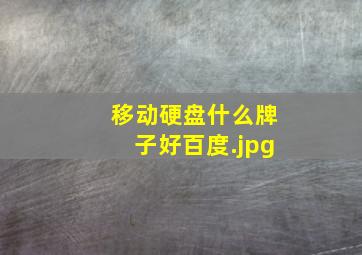 移动硬盘什么牌子好百度