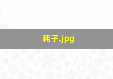 耗子