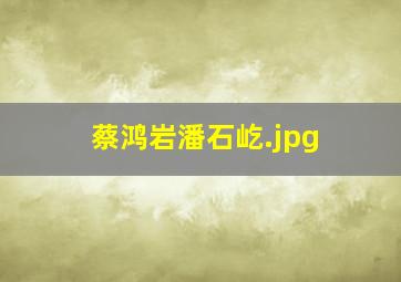 蔡鸿岩潘石屹
