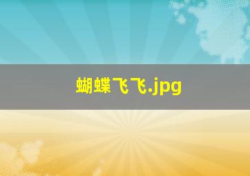 蝴蝶飞飞