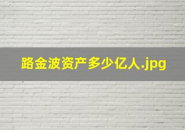 路金波资产多少亿人