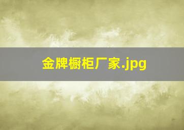 金牌橱柜厂家