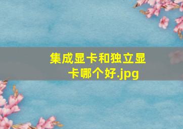 集成显卡和独立显卡哪个好