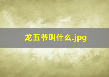 龙五爷叫什么
