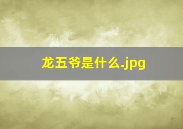 龙五爷是什么