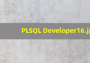 PLSQL Developer16
