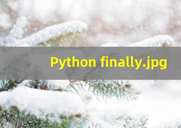 Python finally
